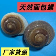 ����ݾ�ؐ�~�ľ�з��Q��ؐ�������~���b�Ʒ�[��ؐ��Ƭ��Ȼ