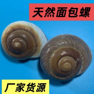 ����ݾ�ؐ�~�ľ�з��Q��ؐ�������~���b�Ʒ�[��ؐ��Ƭ��Ȼ