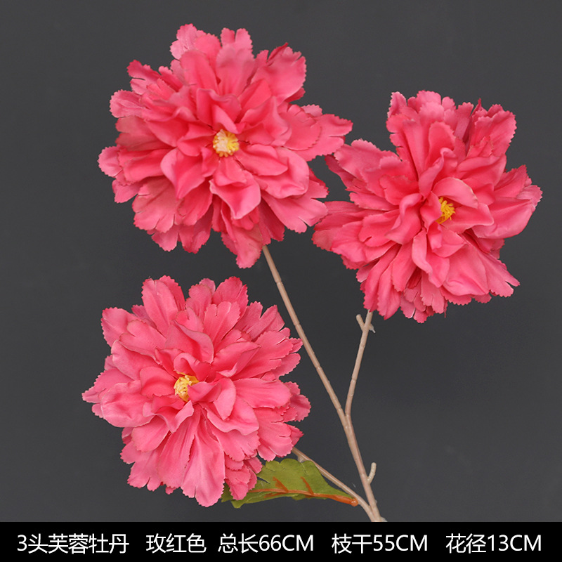 2 세대 3 헤드 히비스커스 모란