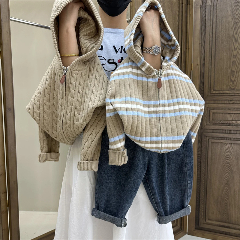 Demi-season sweater girl's with hood with zipper for boys