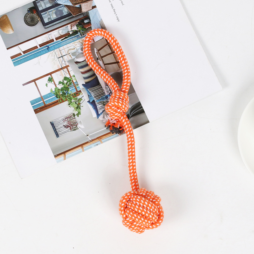 Juguetes para perros, dientes de mordida resistentes, Teddy Corky Boomerang, juguetes de nudo, juguetes para perros, juguetes para cachorros, no pueden morder