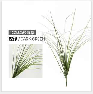 ����ݶ�ݶѾ��^�����پG��ܛ�b���߲݅��F���JȔ���Ѳݹ�β�Ͳ�