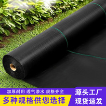 除草布防草地布亚马逊跨境供应厂家批发果树园林大棚园艺PP盖草布