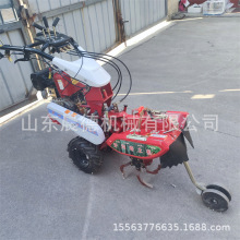 186型手扶式开沟培土机 自走式田园管理多功能种植起垄机