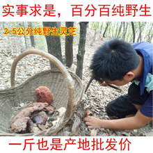 Ұ`֥֦Ұ`֥`֥С`֥ݾҜɽ`֥l