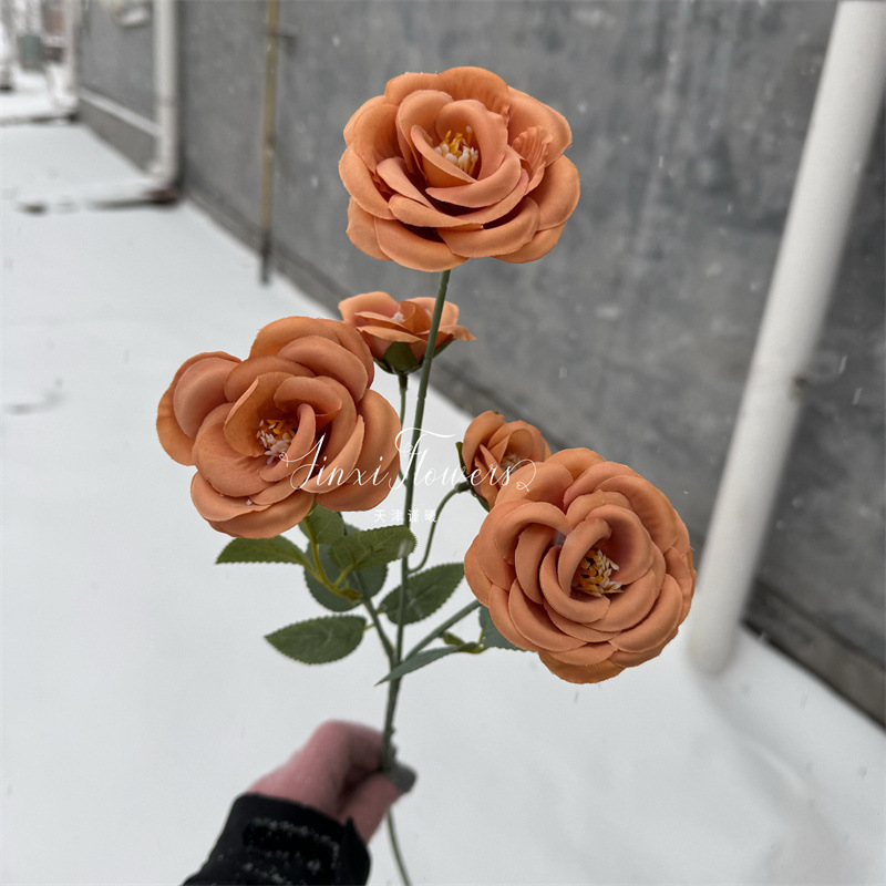 신선한 장미