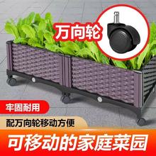带轮种植箱家庭阳台新款专用菜盆种菜神器楼顶长方形特大塑料花盆