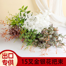 ���R�d�羳15����y�������bzӰ��c���߷���Gֲ�ȼ�������