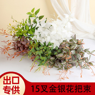 ���R�d�羳15����y�������bzӰ��c���߷���Gֲ�ȼ�������