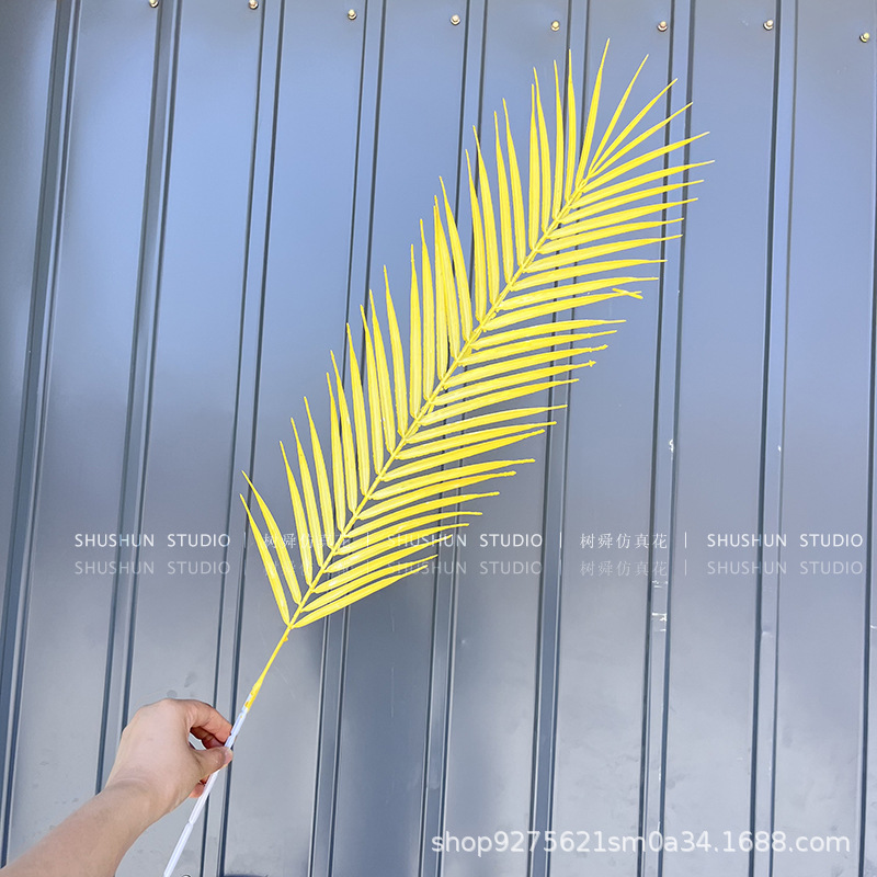 단일 분기 느슨한 꼬리