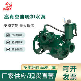 高真空自吸排水泵带真空辅助自吸排水泵矿山矿坑排水厂家现货