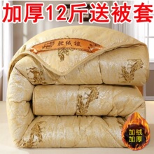 ���뼴ů�ë���ӼӺ�ů�q���������p�˱����ﶬ�����ӱ�о�W