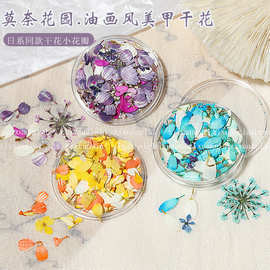 日系美甲干花莫奈花园油画风干花混款小碎花瓣diy材料指甲装饰品