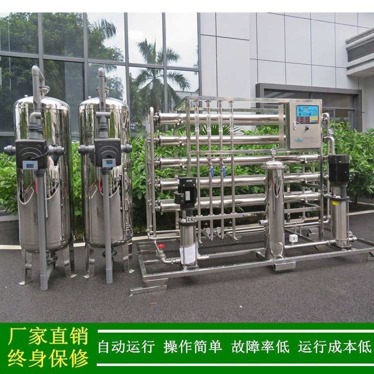 供应纯化水设备二级反渗透纯化水设备2000L/H双级反渗透纯水设备