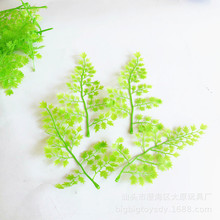 15׸߷ާ~ȸβ~bپGֲ廨~ٲɳPģ͘