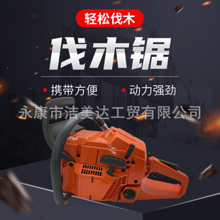 ���S���l��ľ䏼��������365���������������