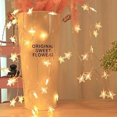 led星星燈電池盒五角星彩燈USB圓球雪花燈串滿天星夜市擺攤裝飾燈