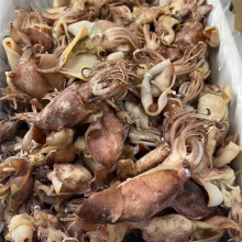 ��β�خa ����Ͳ  ���~���׺��a���rˮ�a���]����