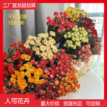 õɻdiyֹ}Q滨ȻLϡж^Сõ廨