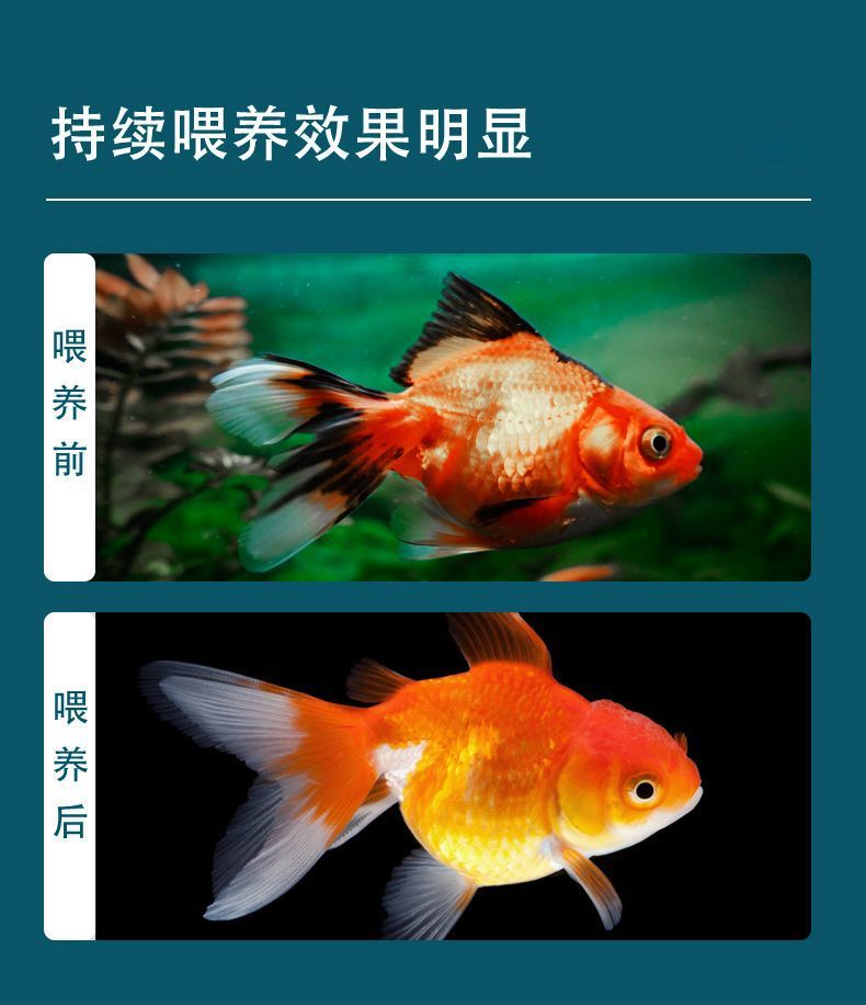 5f92b375-53c1-4766-975b-20290cb3c43a.jpe