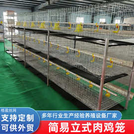 简易肉鸡笼立式冷镀锌热镀锌三层四层养殖场鸡舍设备养殖笼子