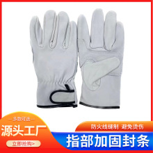 ���l��Ƥ�廡��������늺��ڱ�������Ƥ��ĥ��ܛ�����Cе���o����