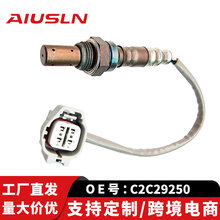 ����ݱ���������㲿����������ǰ��C2C29250�羳����
