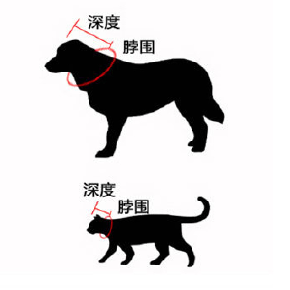 b1c847b69075c2422eff324544e893