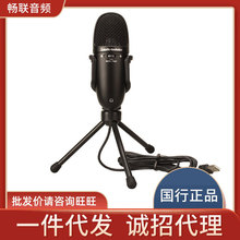 Audio Technica/铁三角 AT9934USB电容麦克风话筒手机电脑全民k歌