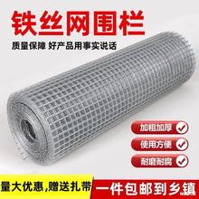 镀锌钢丝网加粗超硬铁丝网围鸡鸭鹅养殖网封窗网防猫防护铁网格网