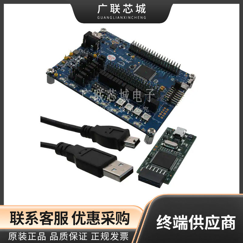 AGLN-NANO-KIT IGLOO nano FPGA Starter FPGA 可编程逻辑评估板