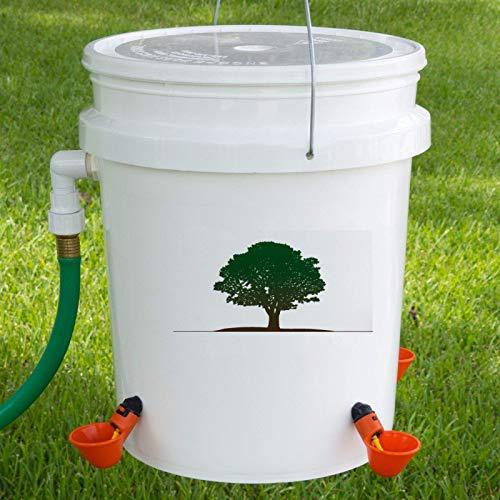 Bird Drinking Bowl Image 6