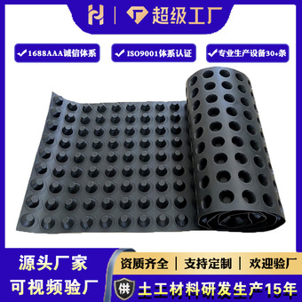 塑料疏水板厂家车库顶板用黑色疏水板HDPE材质疏水板卷材销售