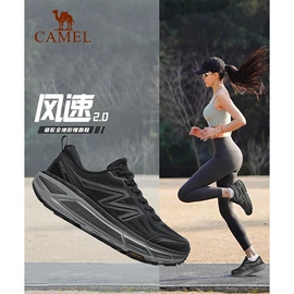 冲锋衣、裤;运动羽绒服;运动T恤