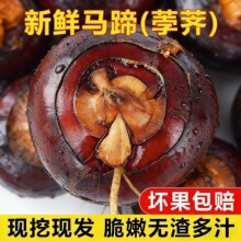 ���r�R��ݩ�j���������r���ԷN5��F�ڑ���ˮ���߲����Դ����֭