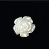 DIY shell Petalial Handmade Carving Drilling Flower Whitening White Shell Material Accessories Accessories Accessories B1-B24