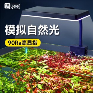 yee�~�ן�LEDˮ�ݟ�ȫ���V����A�����G�^�pС���쾰�a��������