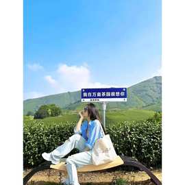 法式月光蓝碎花帆布包2024春夏新款字母印花单肩包小众学生通勤包