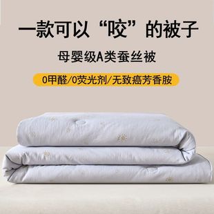 Hilton Silk Quilt Mulberry Silk Spring and Autumn Quilt Summer Cool Quilt Dormitory Air Conditioning Quilt Core Thickened Winter Quilt Amazon