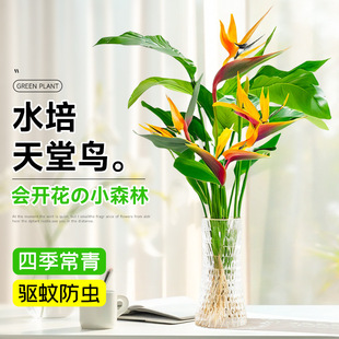 ˮֲBQm͏dGֲk҃ļBˮ