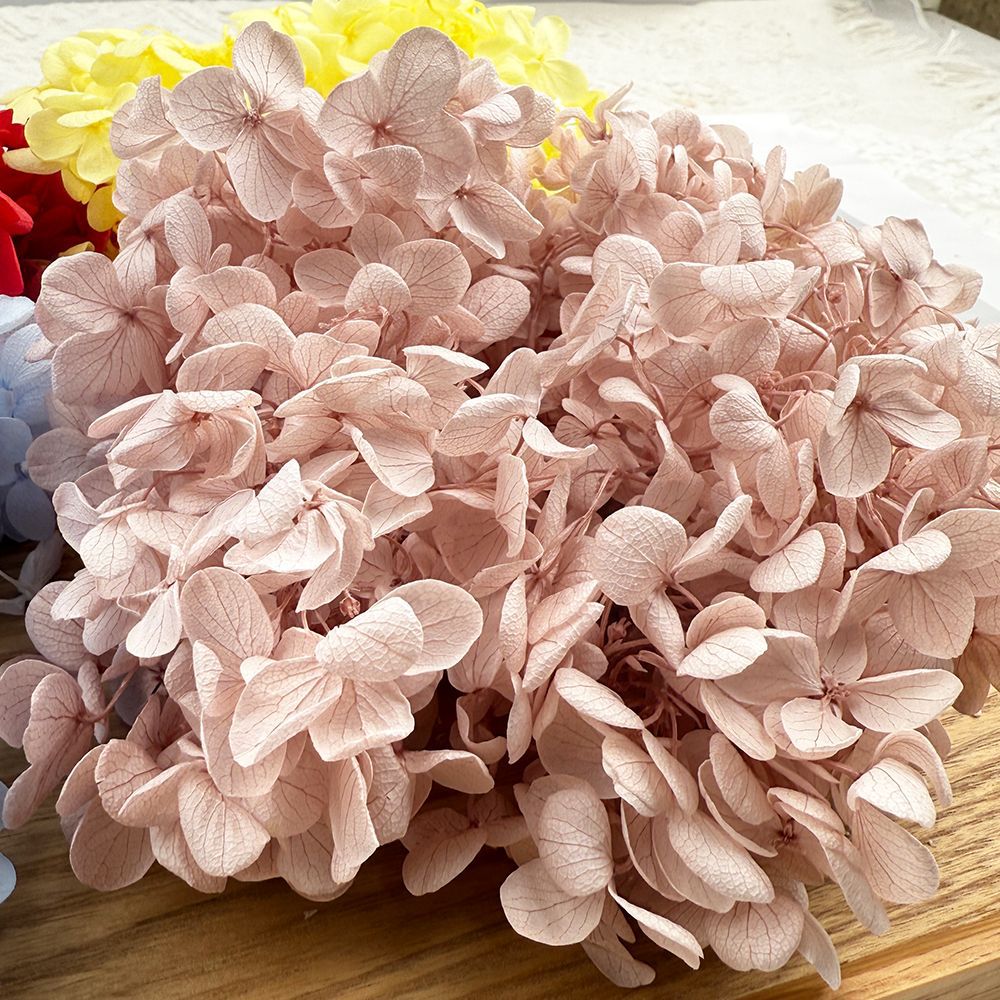 Flores de hortensia preservadas de calidad A+ del fabricante de Yunnan, flores preservadas en caja de 20g.