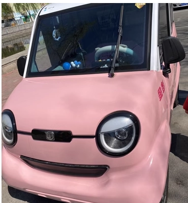 Avtomobil boya qələmləri | Laotoule electric tricycle original - peach-pink-300ml-with-free-sandpaper