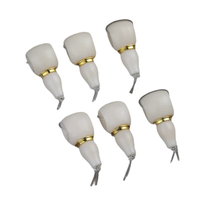 Wholesale Yak Bone Split-Type: Zərgərlik ara hissələri