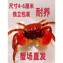 ����з����з����з��܊з����зɳзͬ��ҹ�Д[���ض�ˮ������