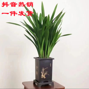 �����L�ķ����Ժðl؛���m������ī�m�҃�ֲ��͏d�k�������F�辰