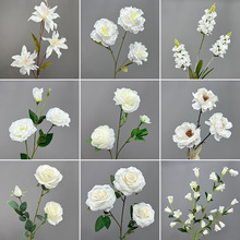 �¿��c��ɫ���滨�Ķ��^õ���֧�����Y���b�·�����Ų廨