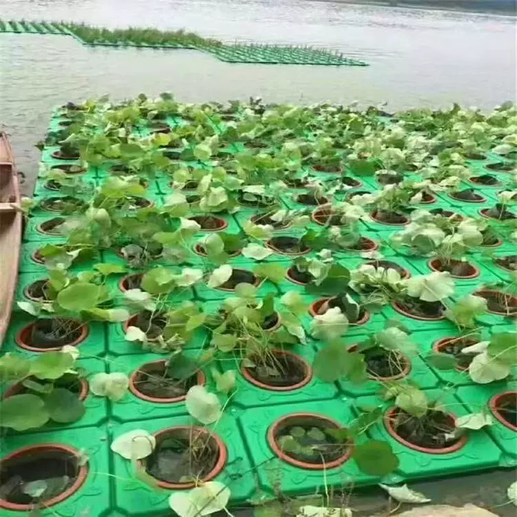 定制水上荷花浮岛园林造景水培花盆种植植物浮床水上浮岛水上种植