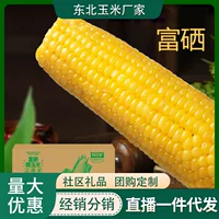 【2026秋收】香甜软糯白糯玉米 新鲜现摘/真空即食 低糖健康早餐玉米