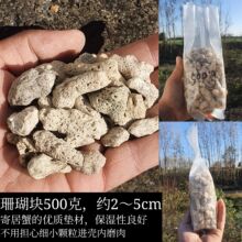 ɺ��ʯ ɺ���K�ľ�з�|��ˮ���~���^�V���V�� ���x�����|����ĥƤ