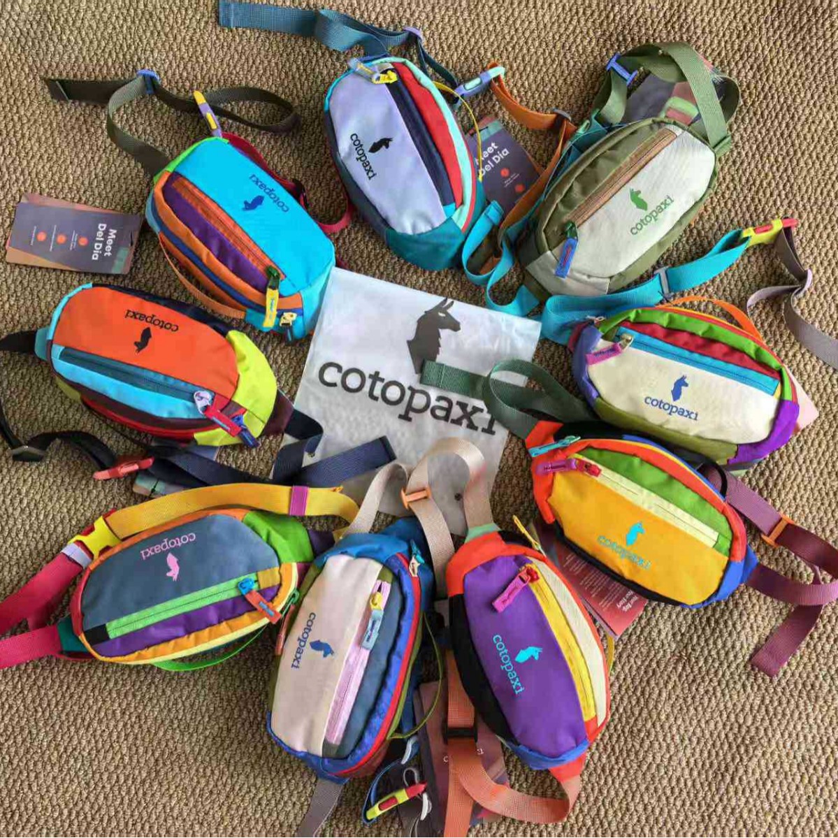 美洲羊驼背包多巴胺腰包1.5L斜挎包户外运动胸包